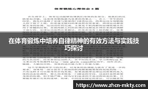 mk体育官网