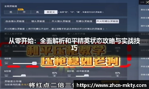 从零开始：全面解析和平精英状态攻略与实战技巧